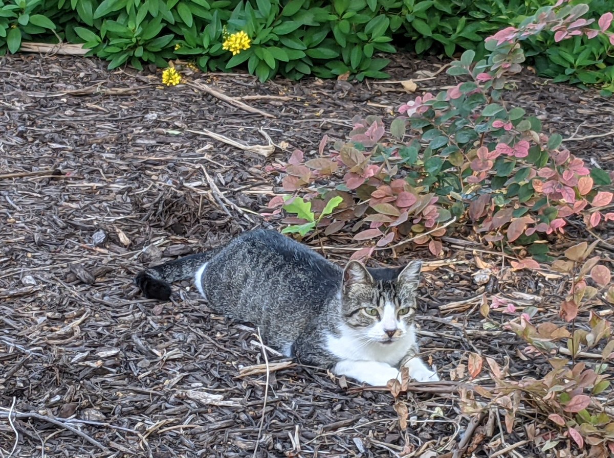 Hobbs, August 15, 2021