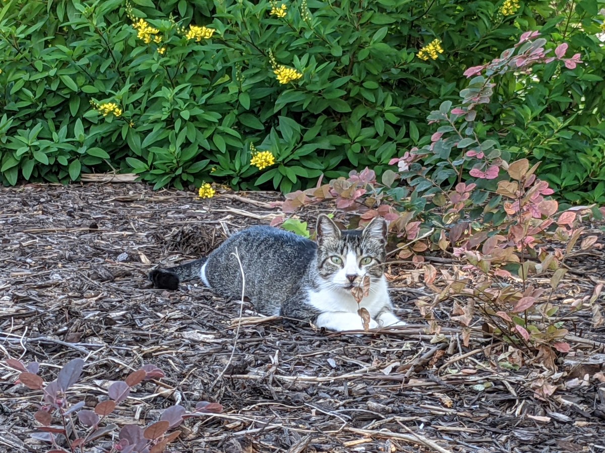 Hobbs, August 15, 2021