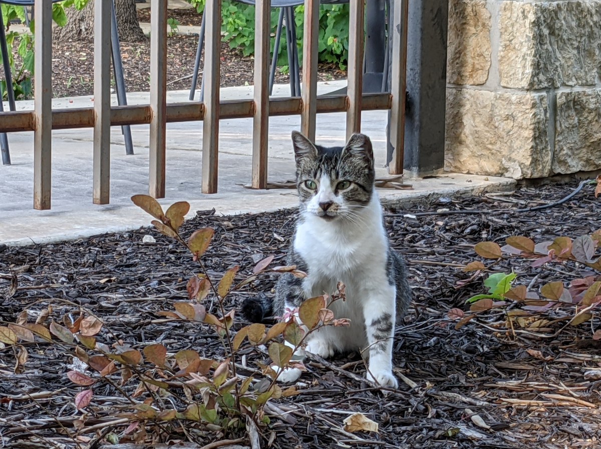 Hobbs, August 15, 2021