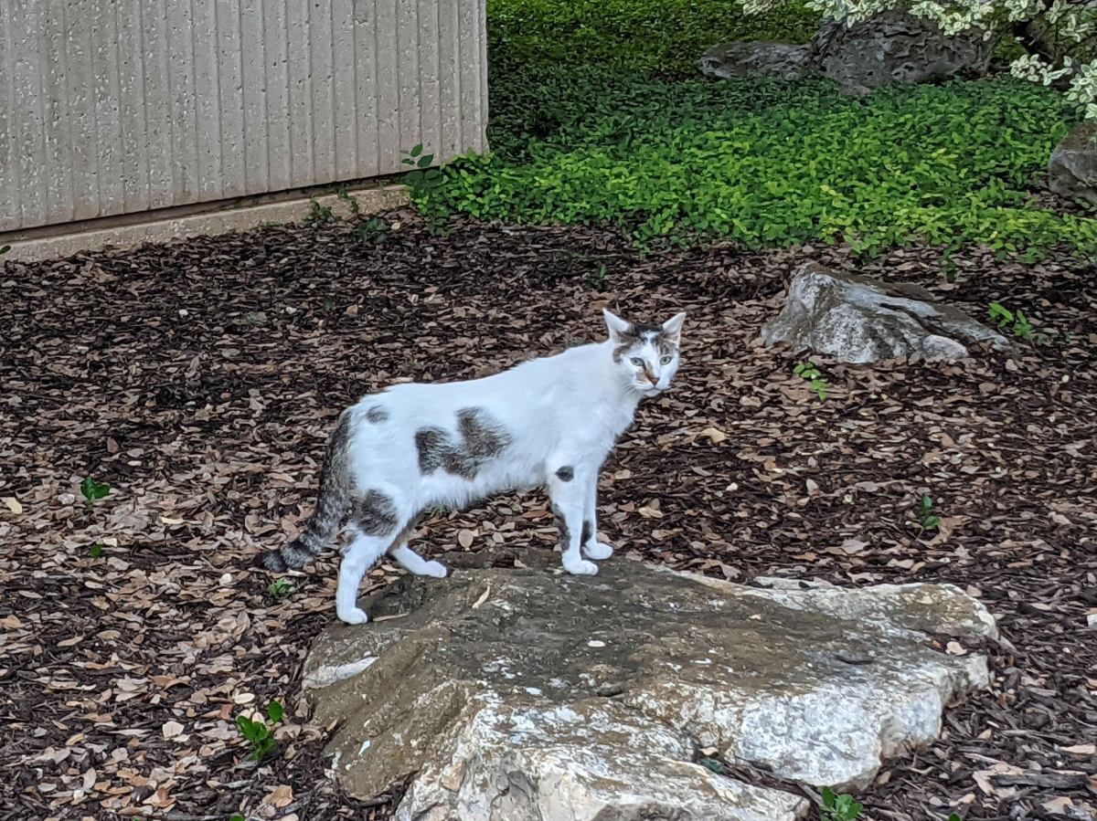 Arthur, July 5, 2021