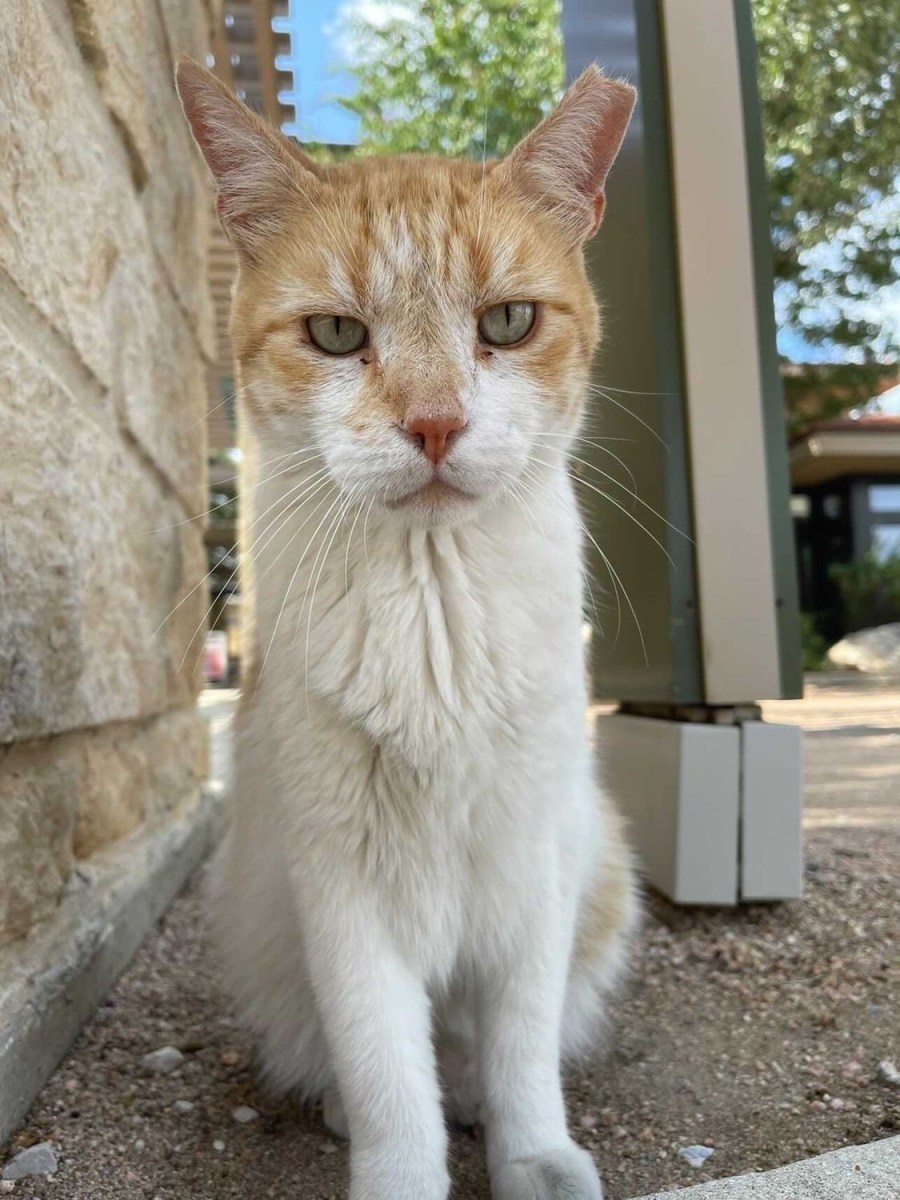 Harry, September 7, 2021