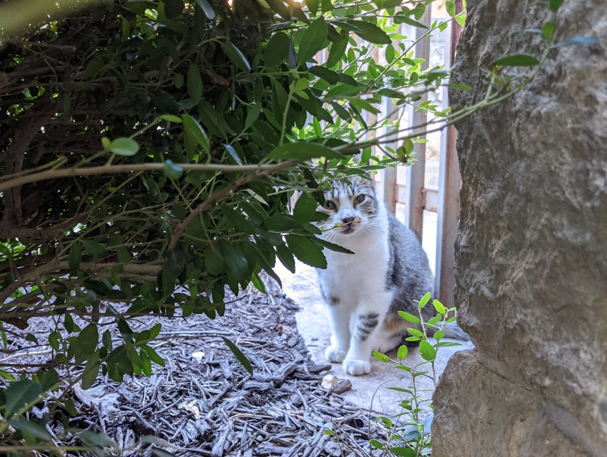 Hobbs, September 25, 2021