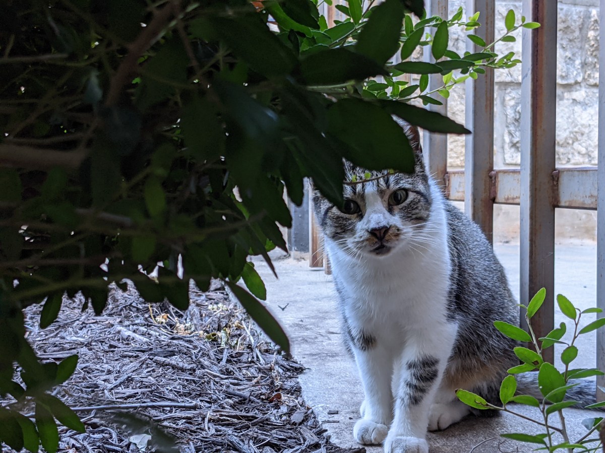 Hobbs, September 25, 2021