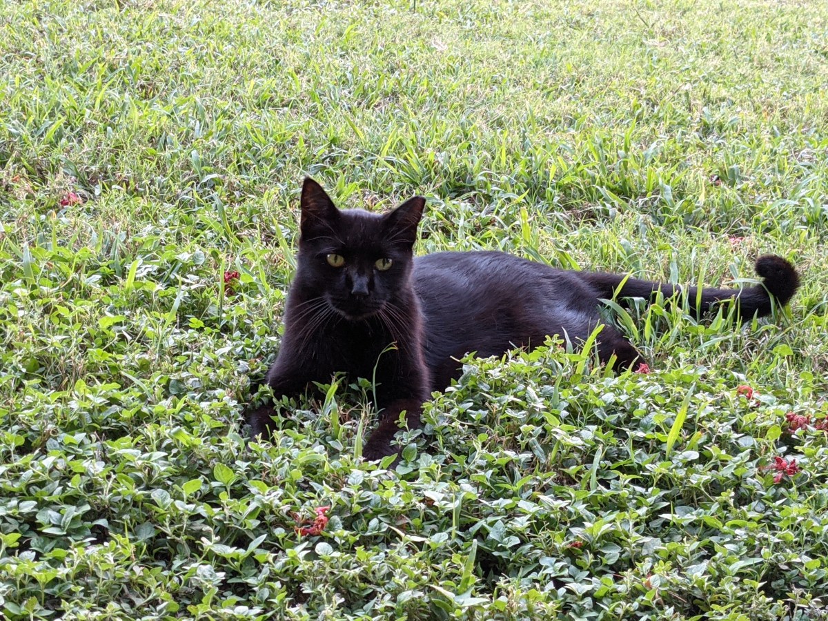 Lucifer, September 17, 2021