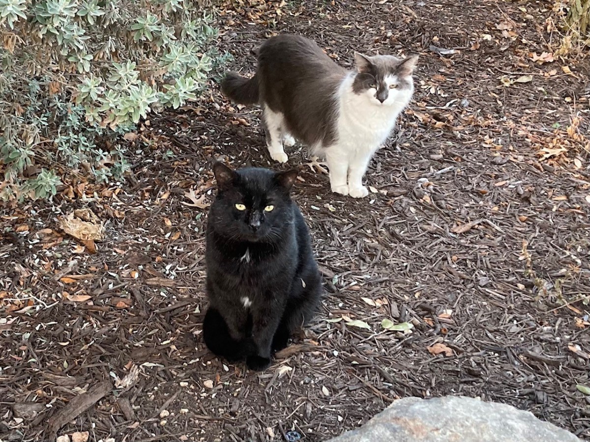 Lamar & Charlie, Oct 16, 2022