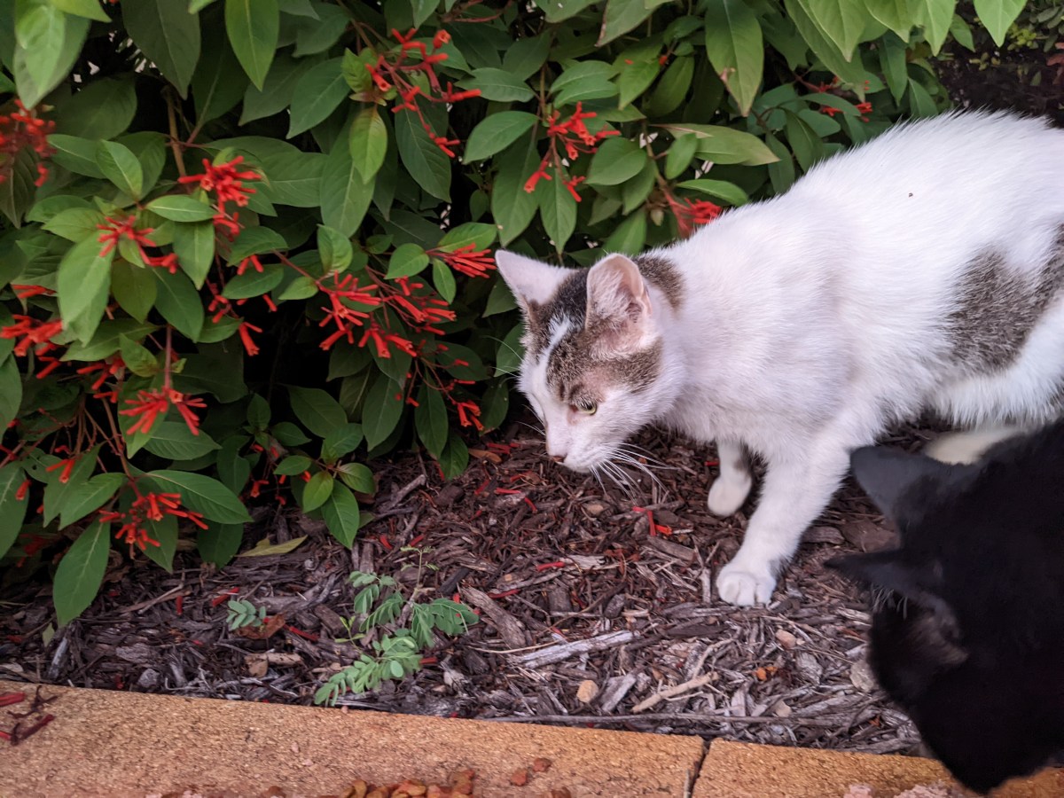 Arthur,September 5, 2022