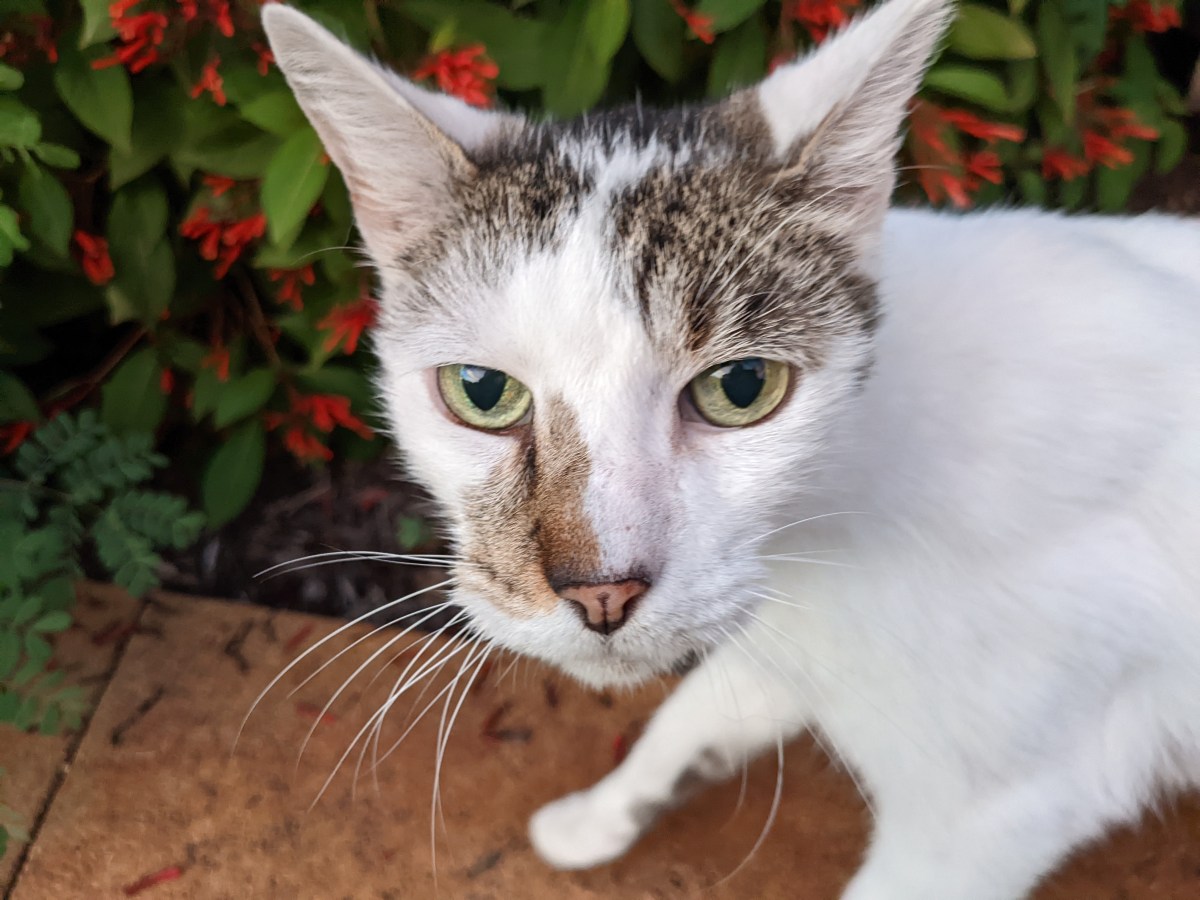 Arthur,September 5, 2022