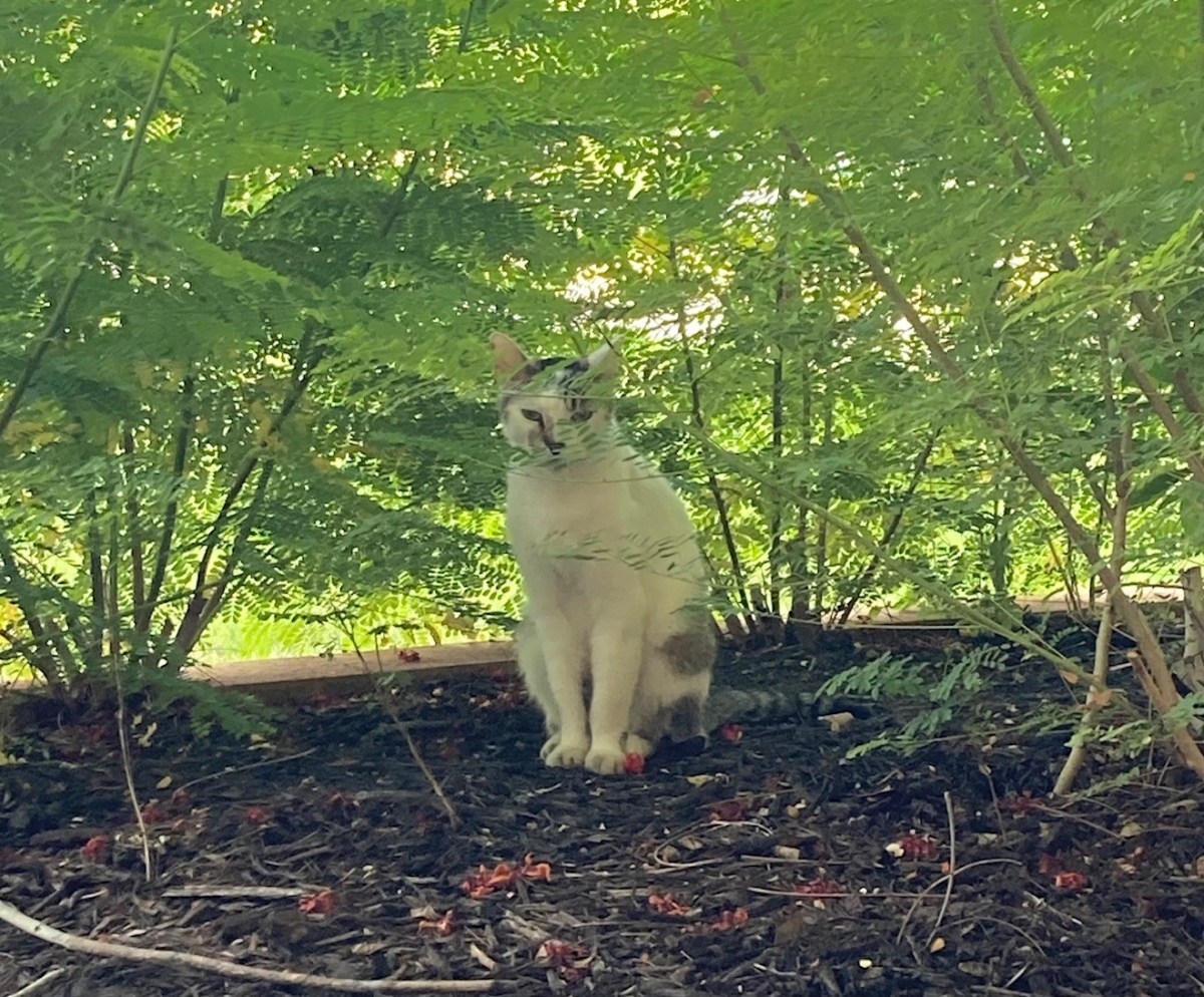 Arthur, June 12, 2022