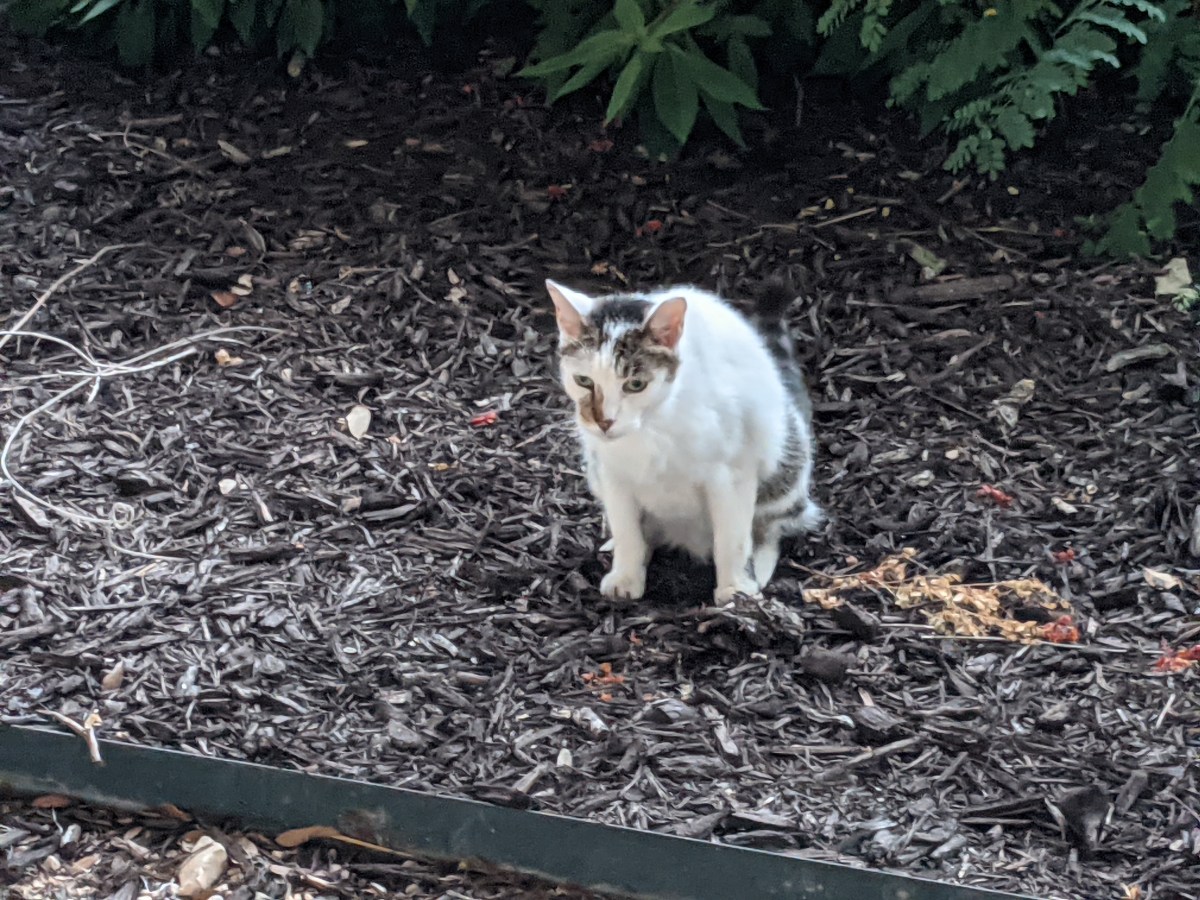 Arthur, August 29, 2021