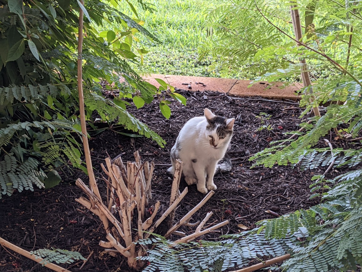 Arthur, October 17, 2021