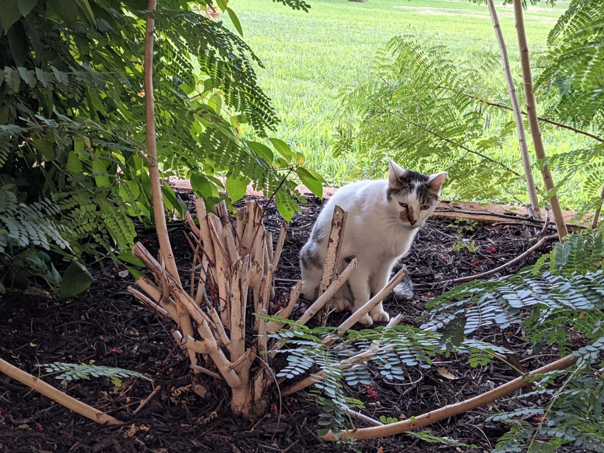 Arthur, October 17, 2021