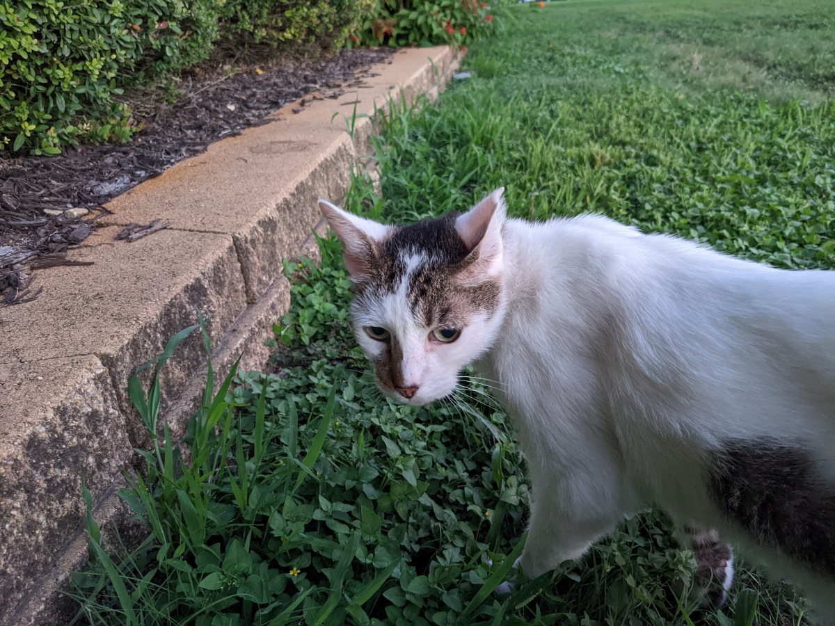 Arthur, September 10, 2022