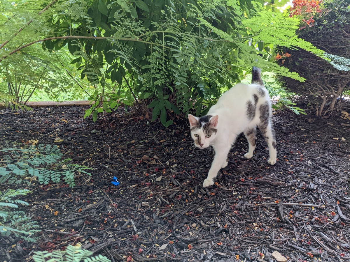 Arthur, September 13, 2022