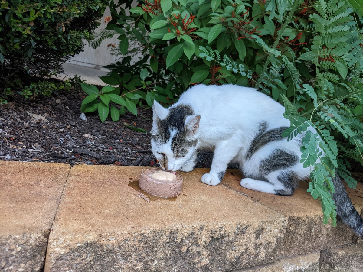 Arthur, September 14, 2022