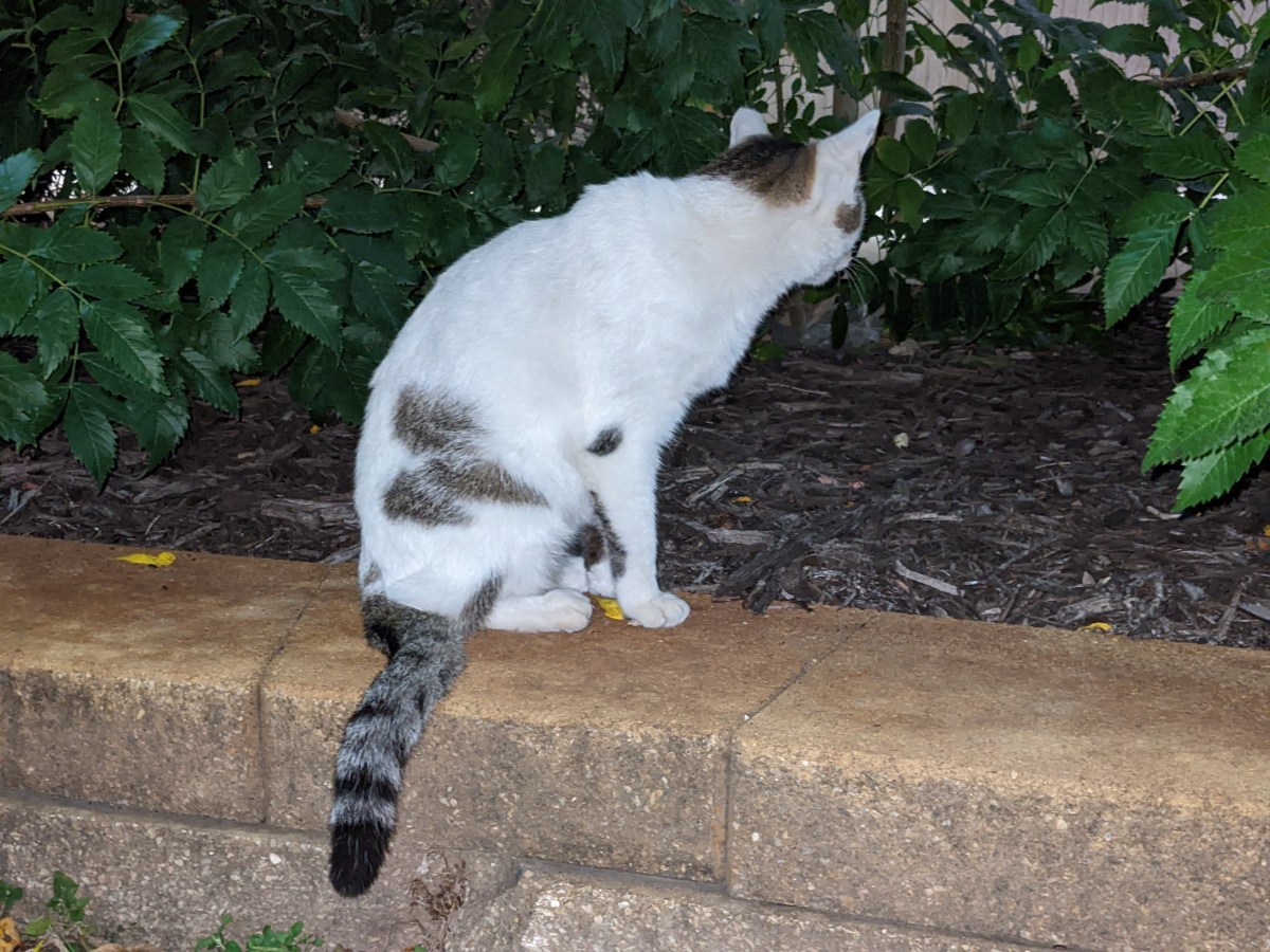 Arthur, October 28, 2022