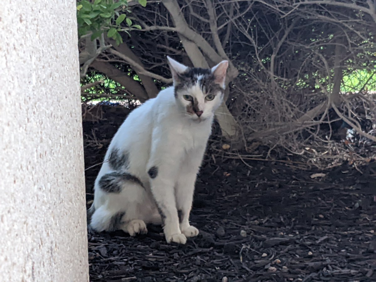 Arthur, September 7, 2022