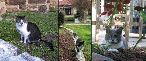 Arthur's brother, BeBe & their mom, Gray Mama