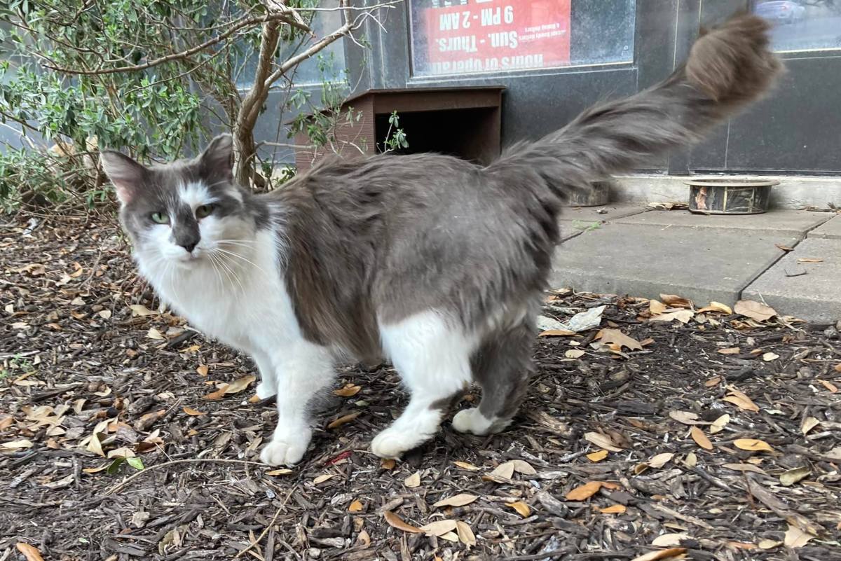 Charlie, March 23, 2022