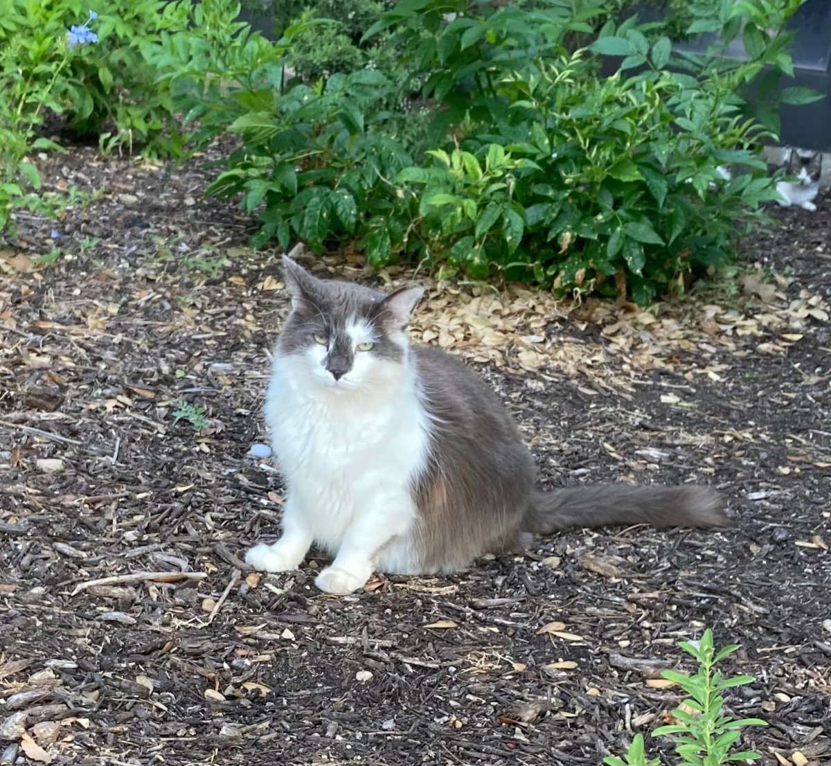 Charlie, May 29, 2022