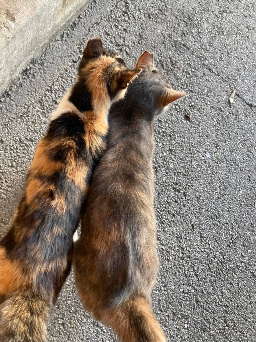 CJ & Chloe, February 16, 2022