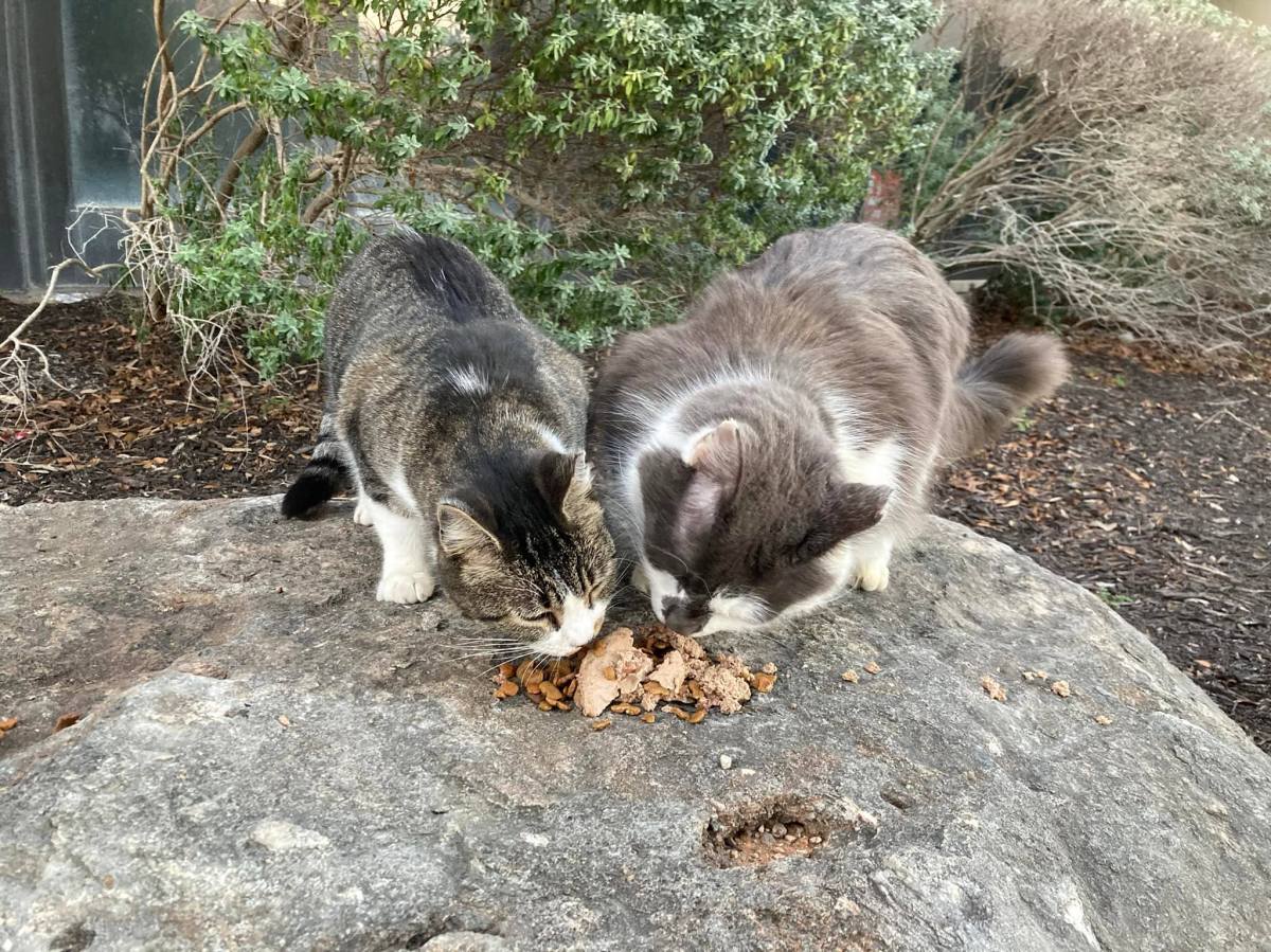 Hobbs & Charlie, January 5, 2022