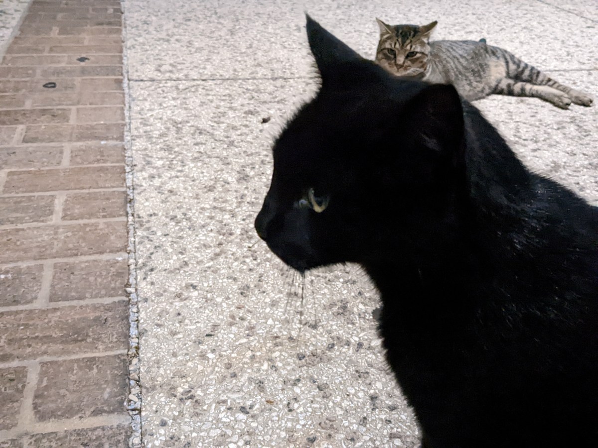 Lucifer & Troy, December 7, 2022