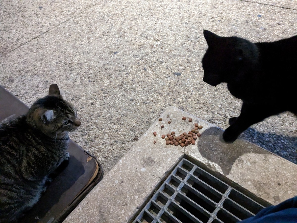 Lucifer & Troy, January 31, 2023