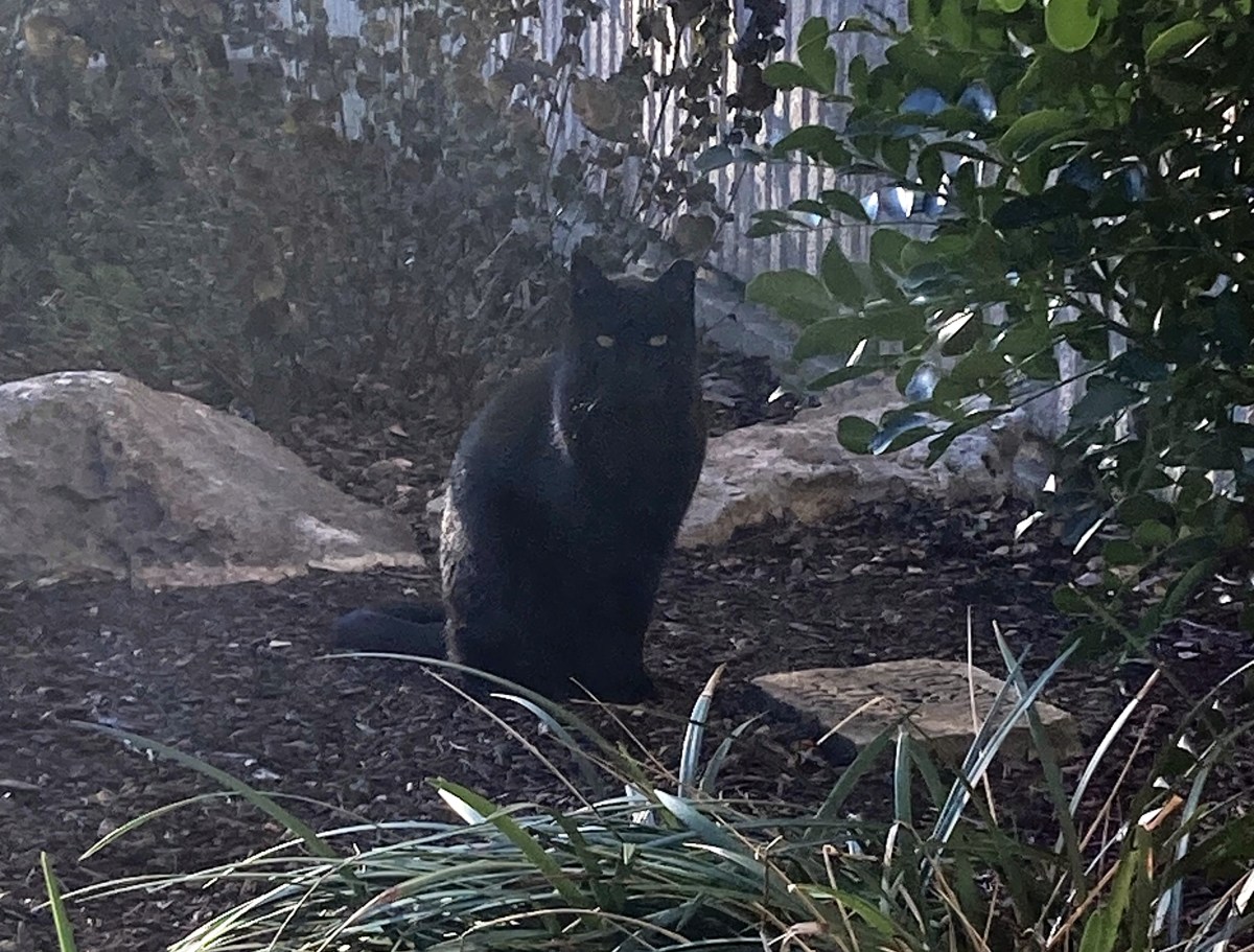 Lucifer, December 25, 2022