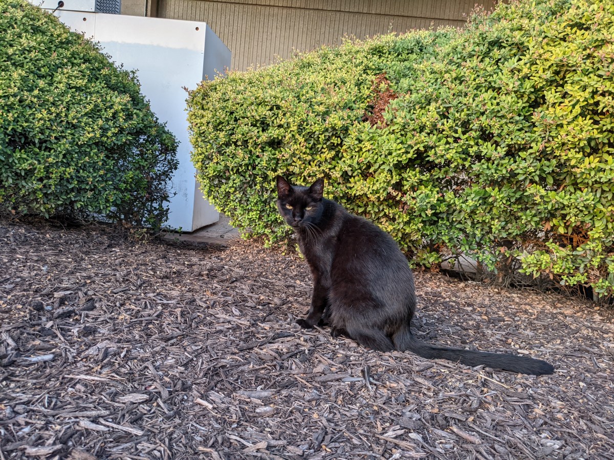 Lucifer,September 7, 2022