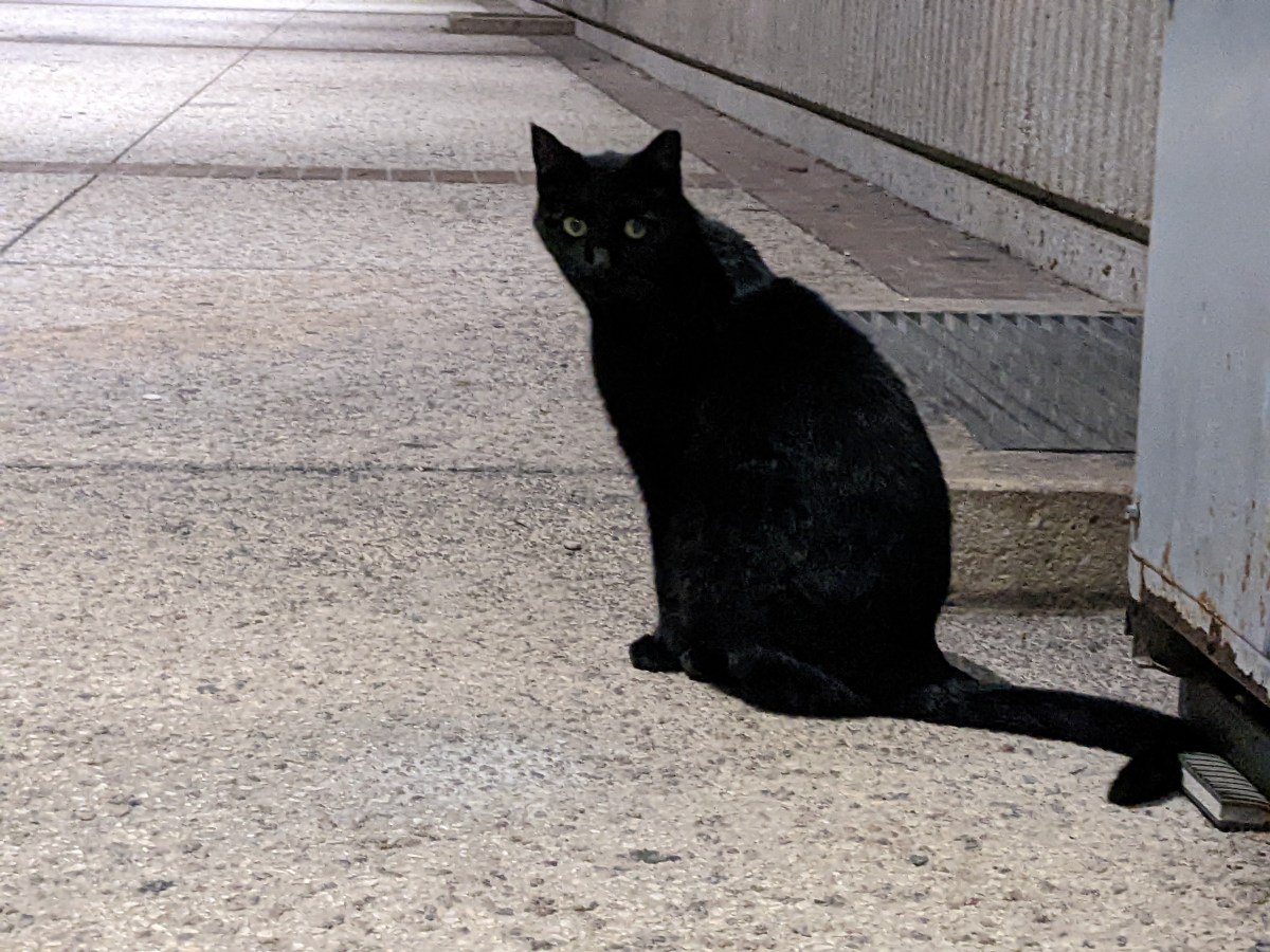 Lucifer, December 7, 2022