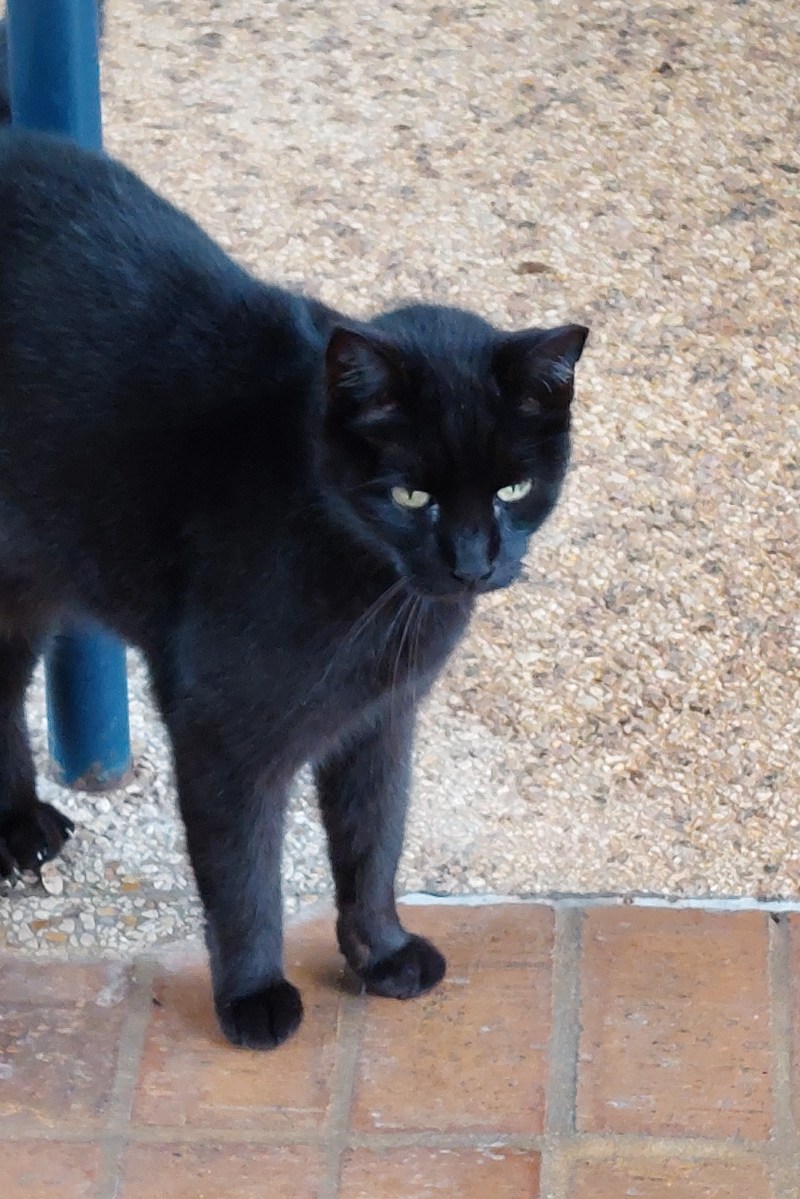 Lucifer, February 26, 2023