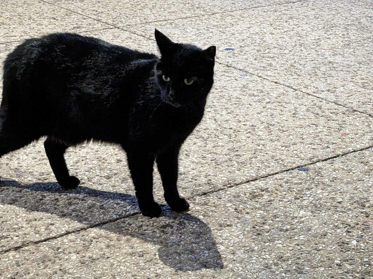 Lucifer, February 1, 2023