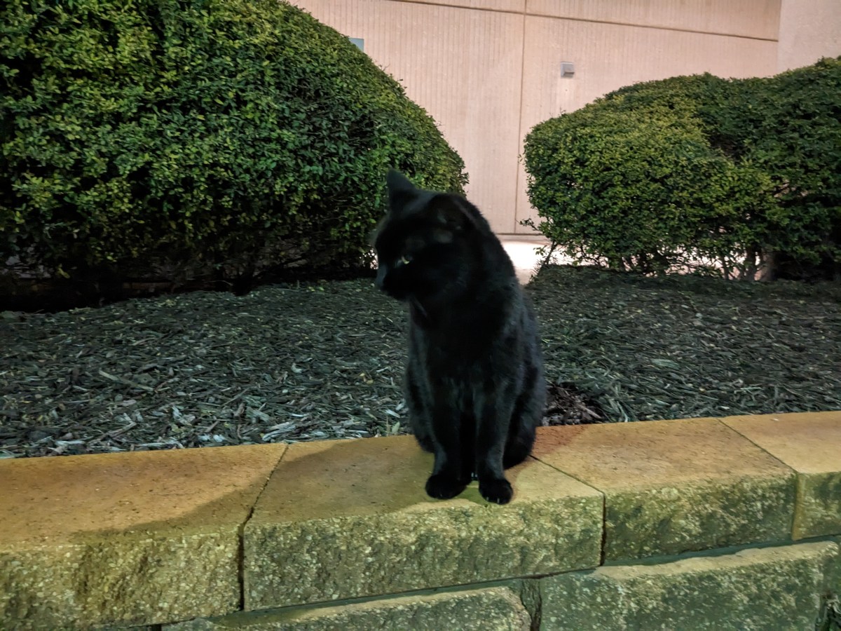 Lucifer, February 14, 2023