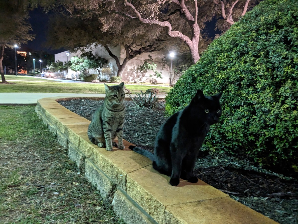 Lucifer & Troy, February 21, 2022