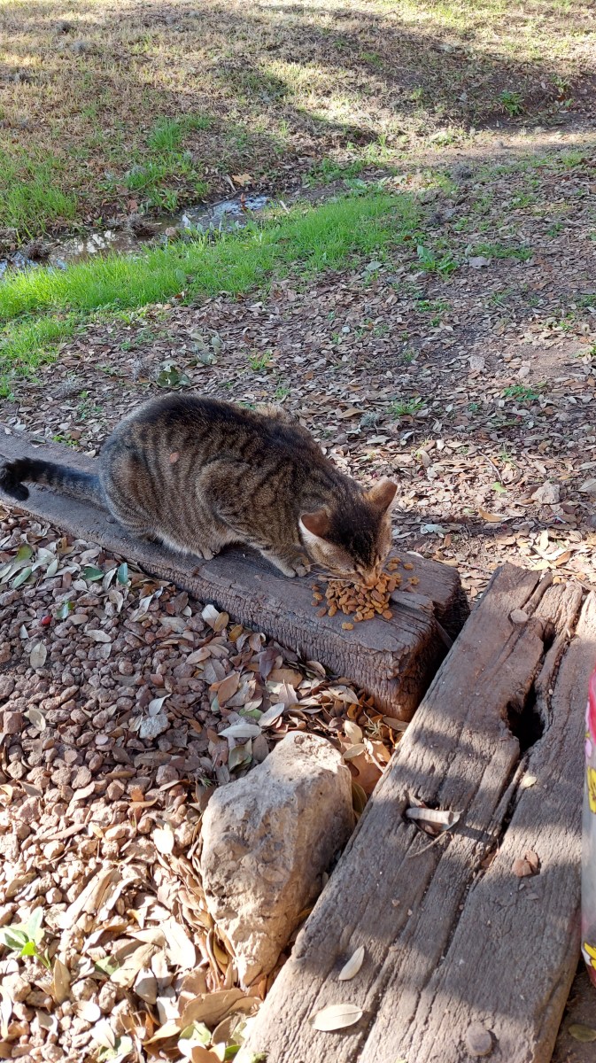 Troy, January 22, 2023