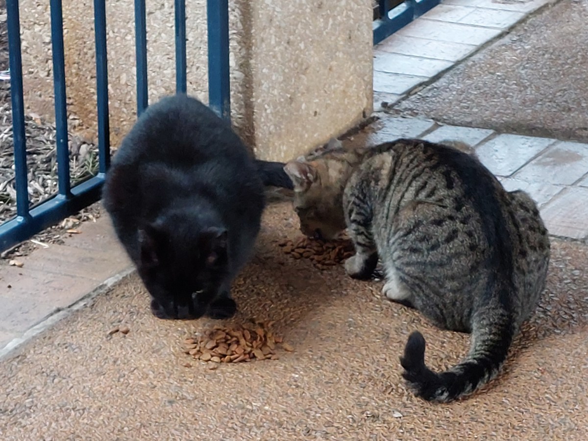 Troy & Lucifer, February 26, 2023