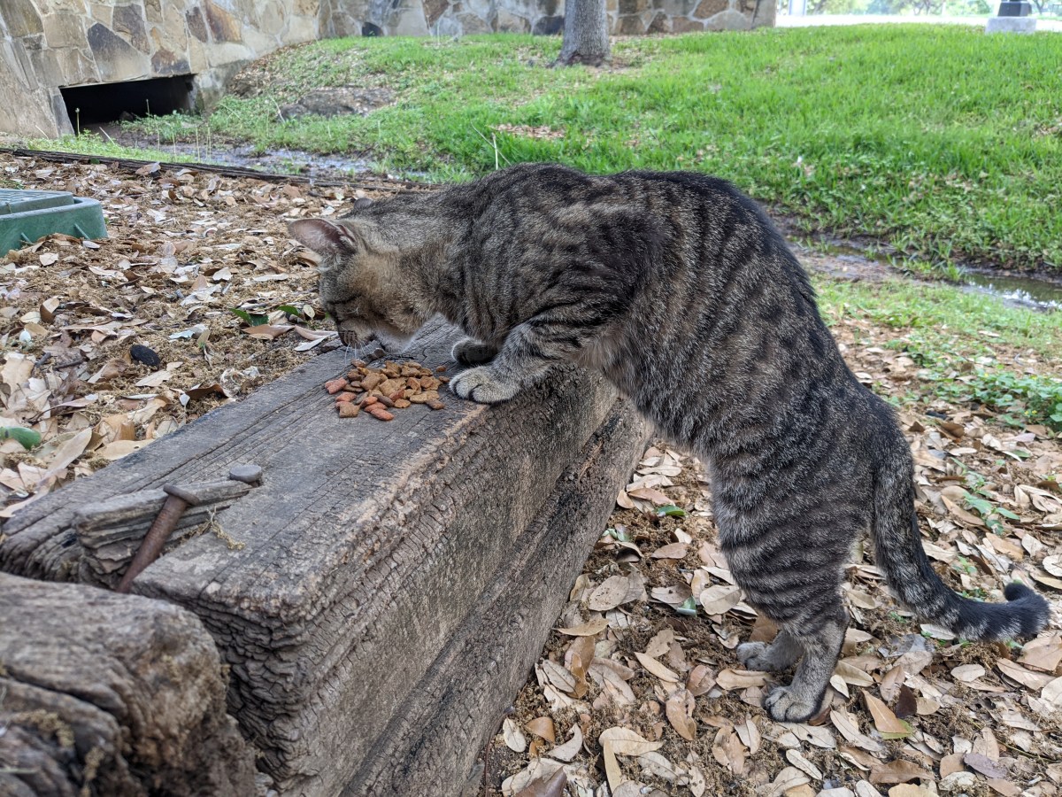 Troy, April 15, 2022