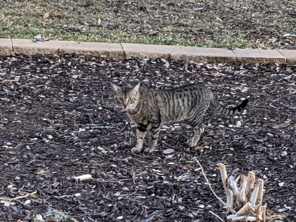 Troy, March 18, 2022