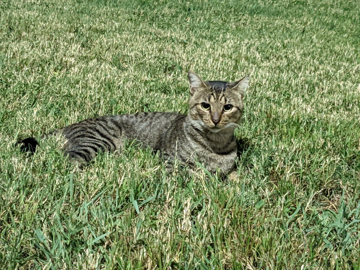 Troy, September 25, 2022