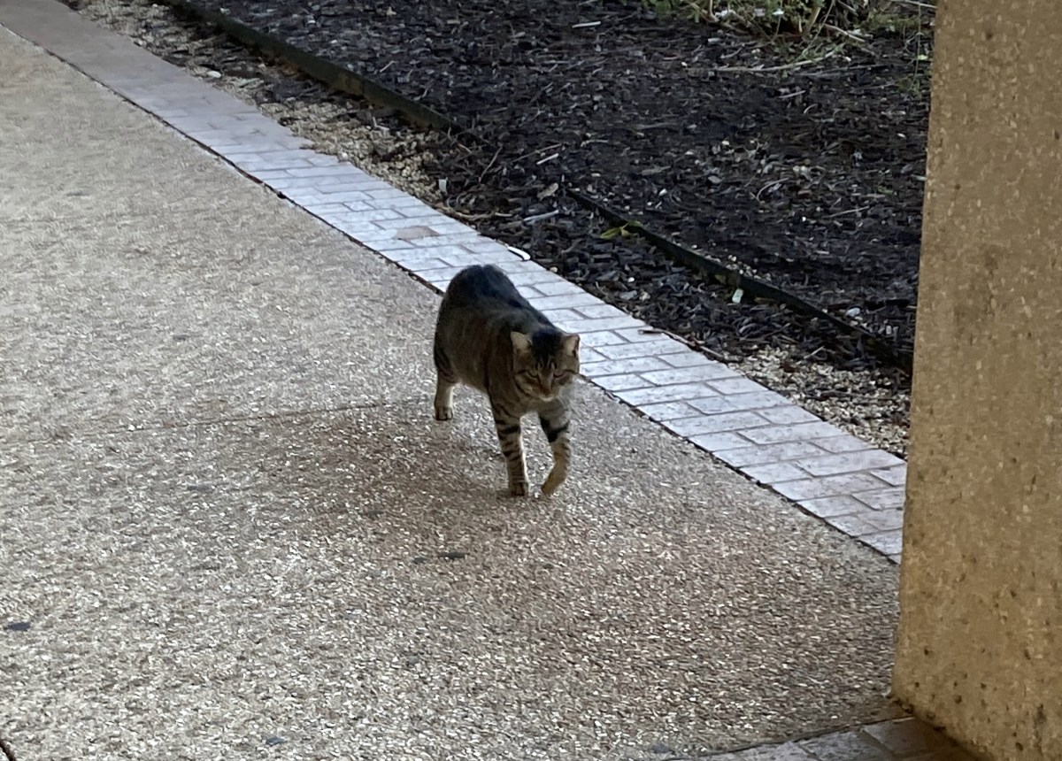 Troy, December 25, 2022