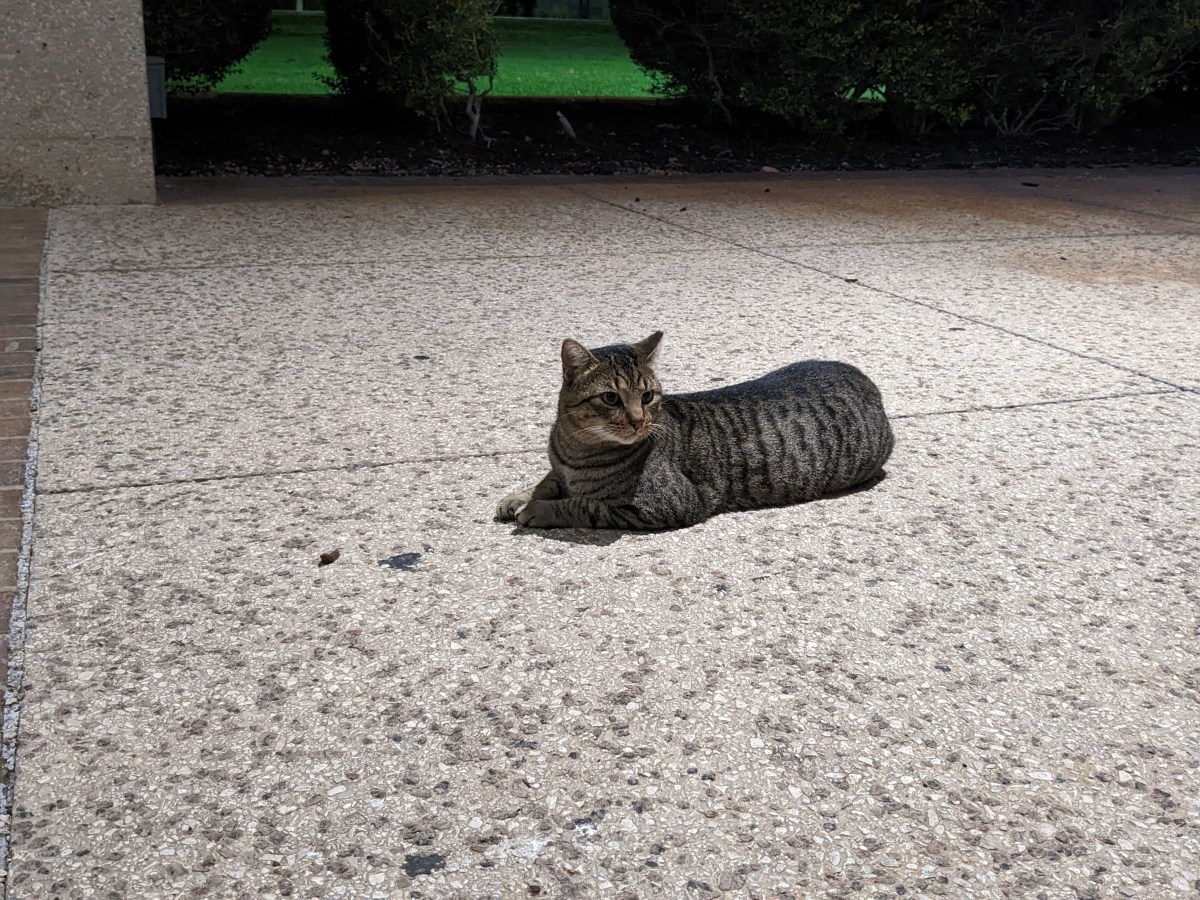 Troy, December 7, 2022