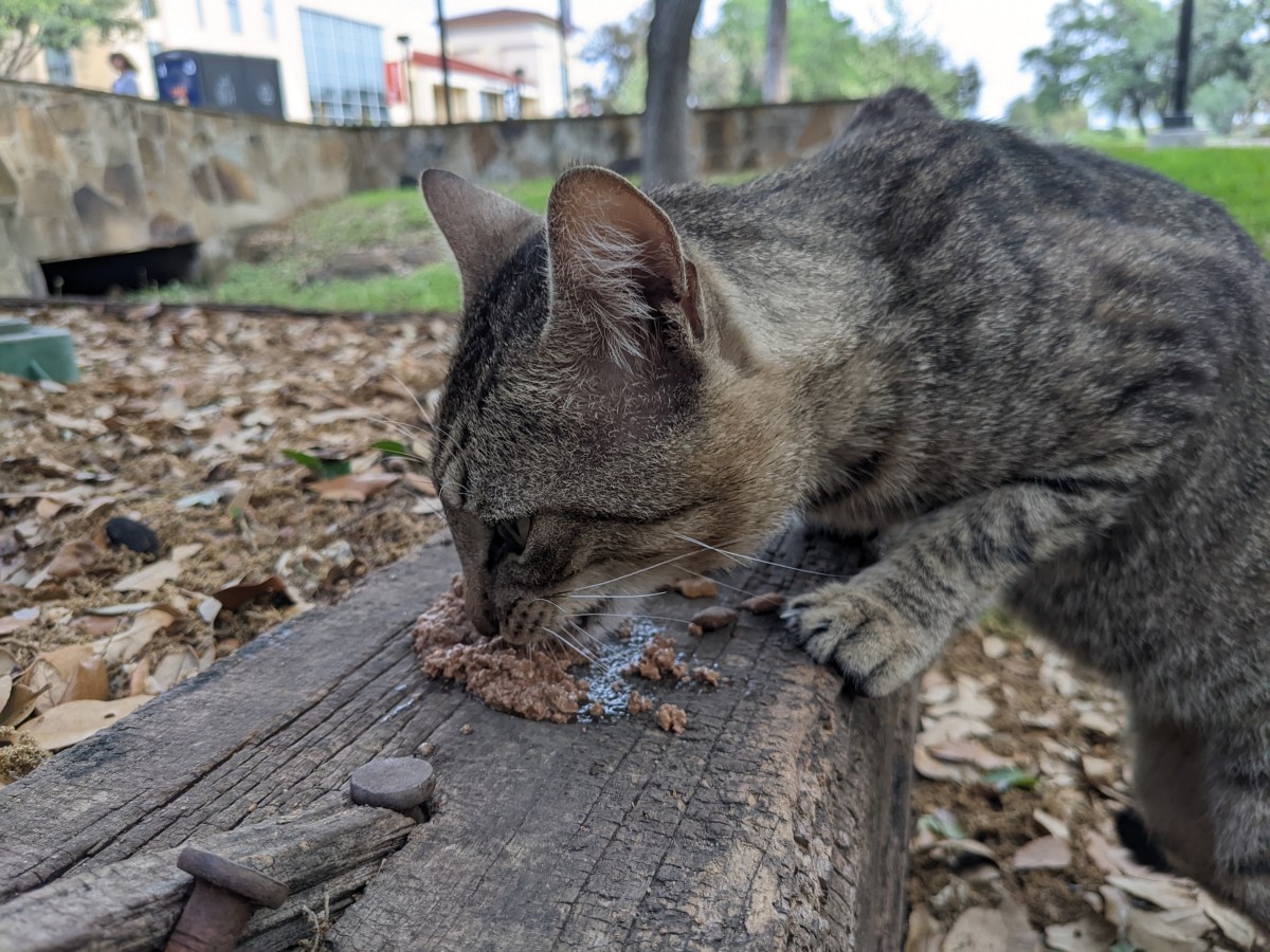 Troy, April 15, 2022