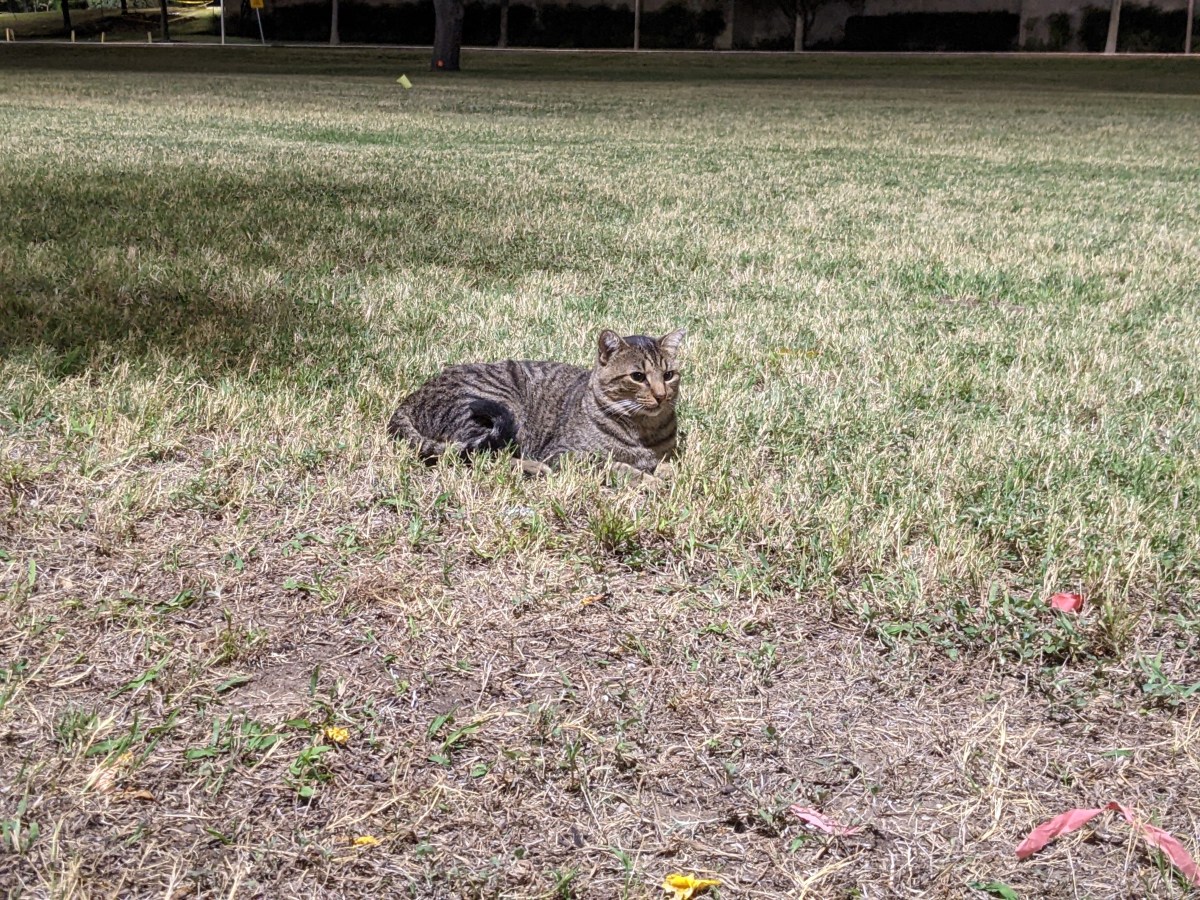 Troy, October 28, 2022