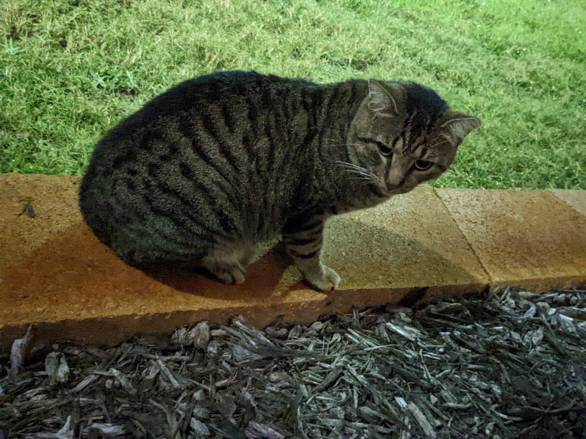 Troy, December 2, 2022