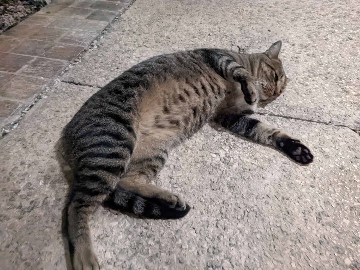 Troy, December 4, 2022