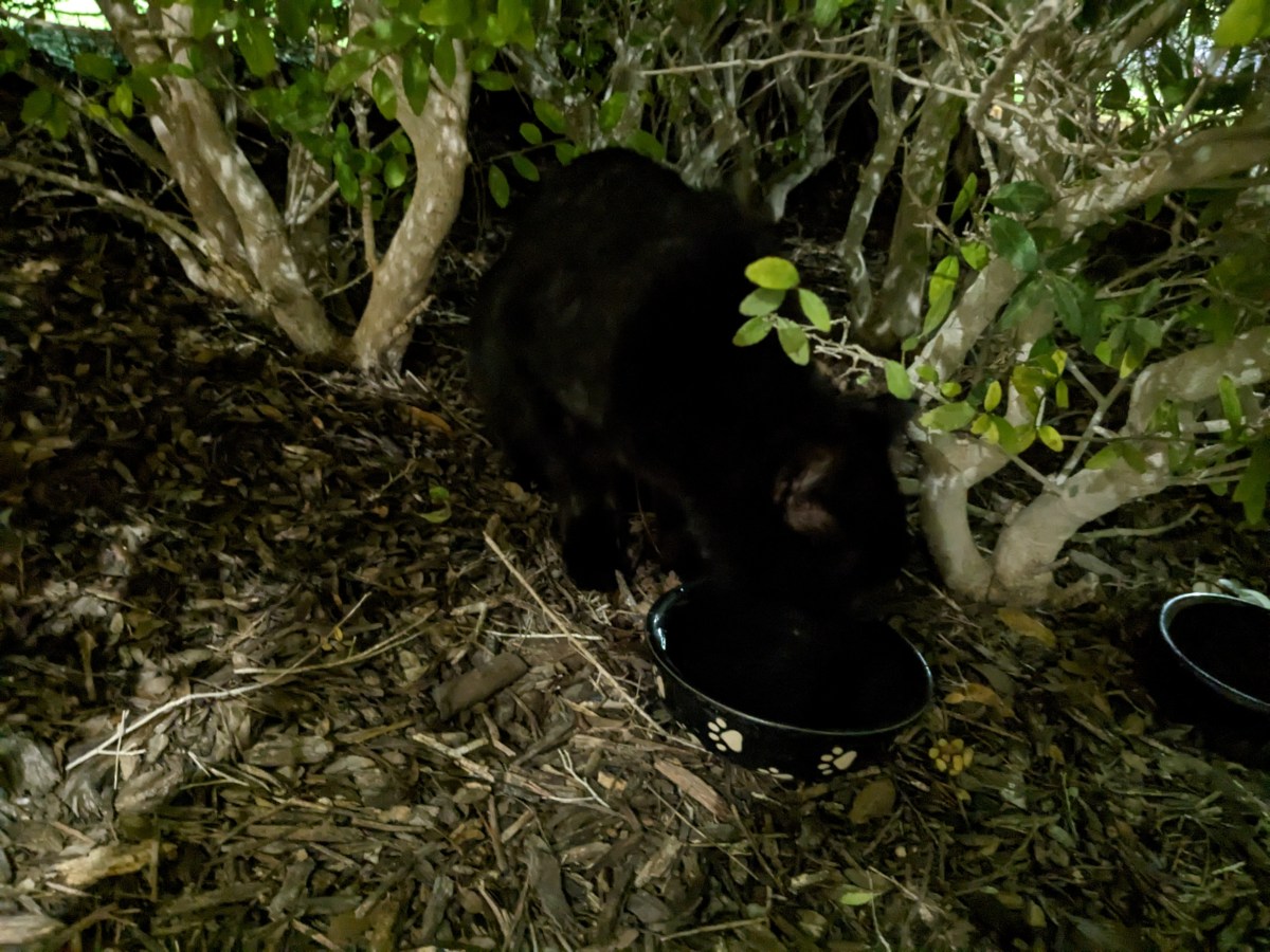 Lucifer, March 1, 2023