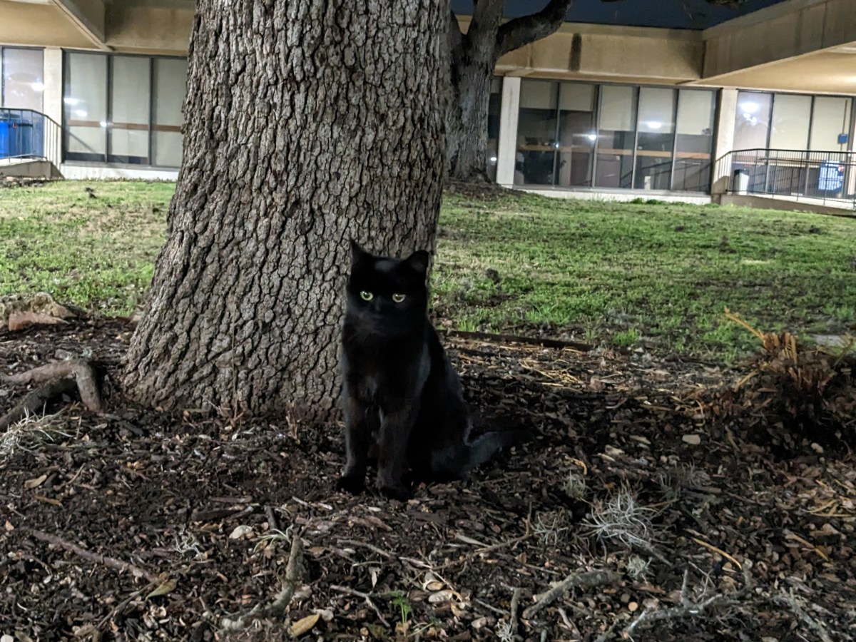 Lucifer, March 1, 2023