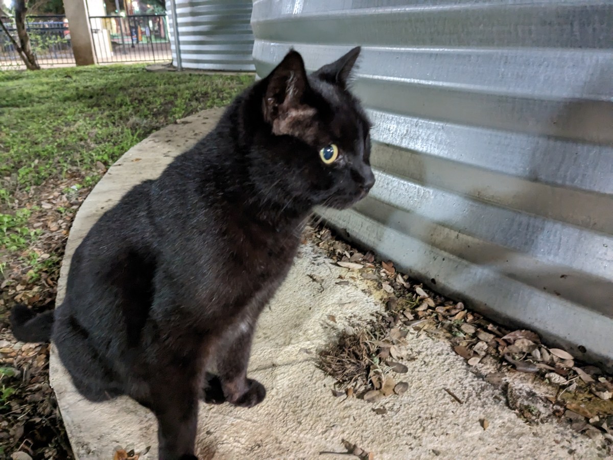 Lucifer, March 1, 2023