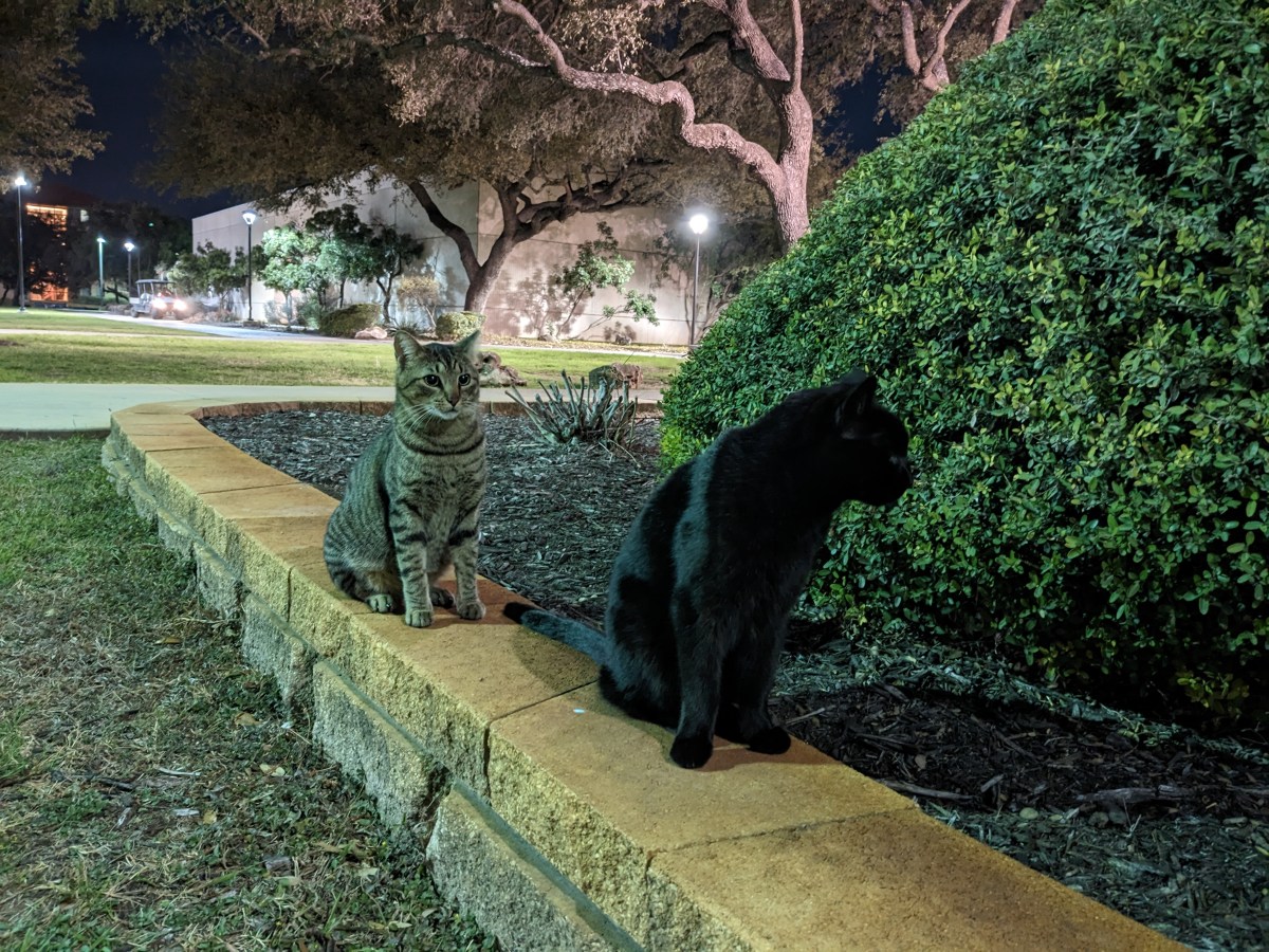 Troy & Lucifer, February 22, 2023