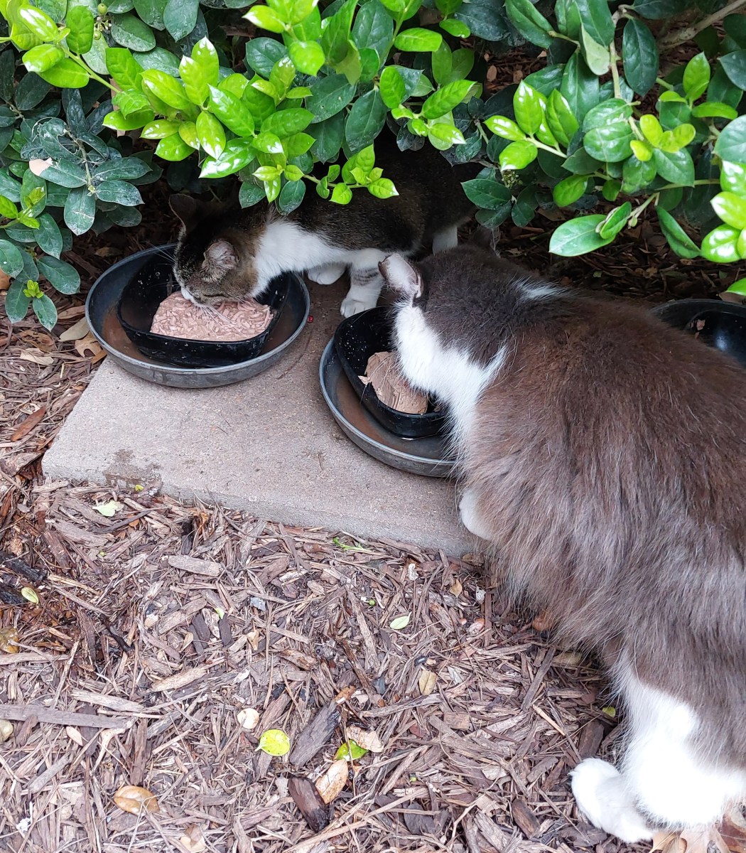 Hobbs & Charlie, April 9, 2023